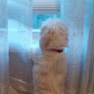 Meet your Posher, Donna